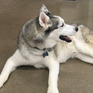 Meet your Posher, Cassie